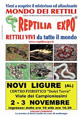 Reptilia expo: l'affascinante mondo dei rettili